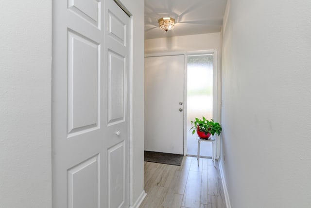 31 Catalonia Ct, Saint Augustine, FL 32086 - corridor with light wood-style floors and baseboards