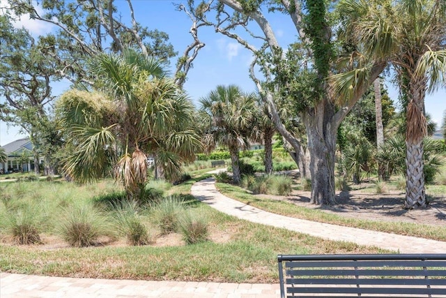 97 Paranza Trce, Saint Augustine, FL 32095 - view of yard