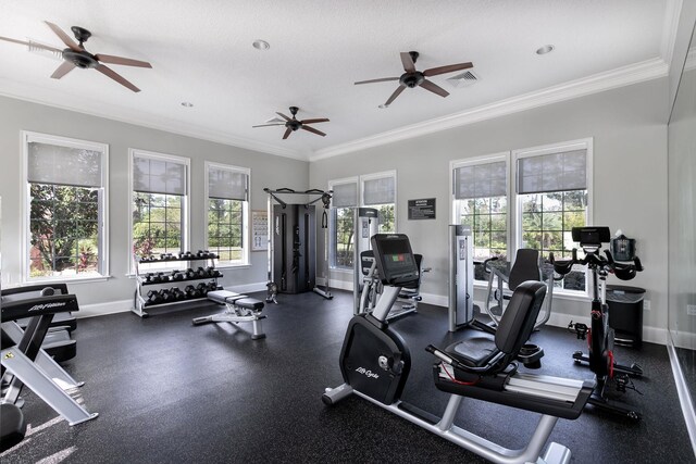 97 Paranza Trce, Saint Augustine, FL 32095 - exercise room featuring a ceiling fan and ornamental molding