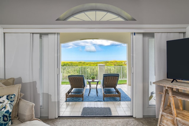 entryway featuring plenty of natural light and carpet flooring