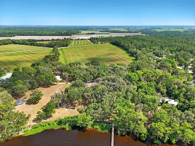 133 Federal Point Rd, East Palatka, FL 32131 - birds eye view of property with a water view and a rural view