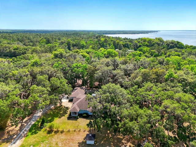 133 Federal Point Rd, East Palatka, FL 32131 - birds eye view of property featuring a water view and a view of trees