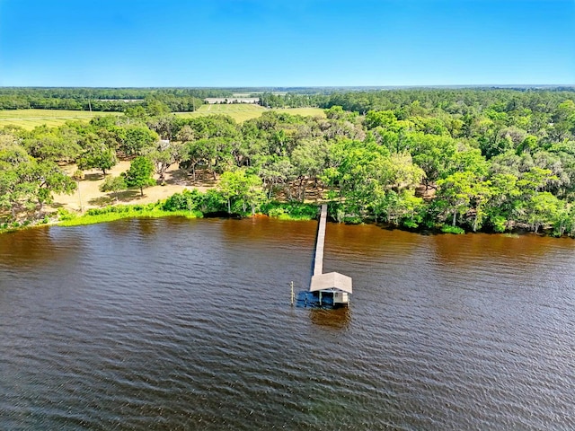 133 Federal Point Rd, East Palatka, FL 32131 - aerial view with a water view and a view of trees
