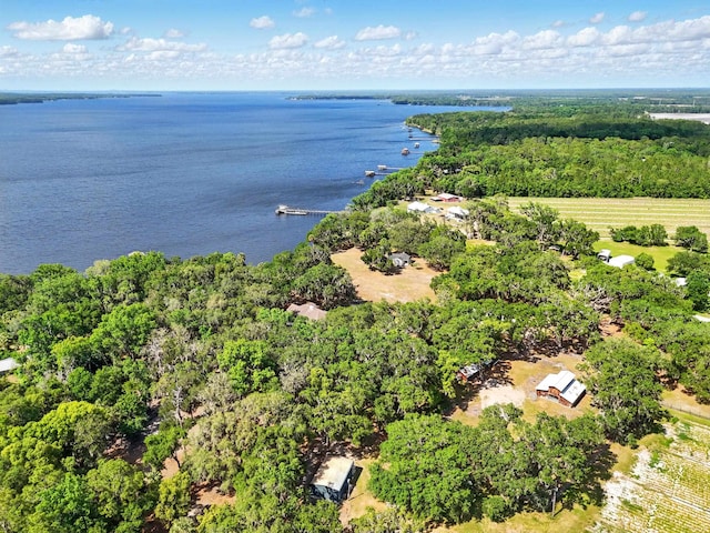 133 Federal Point Rd, East Palatka, FL 32131 - aerial view featuring a water view