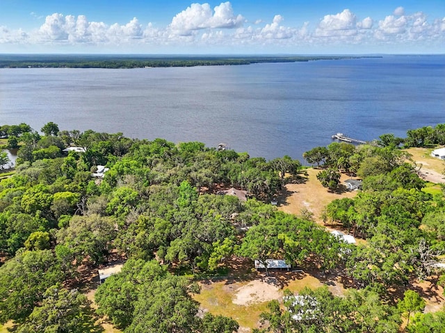 133 Federal Point Rd, East Palatka, FL 32131 - birds eye view of property featuring a water view