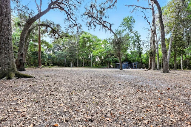 133 Federal Point Rd, East Palatka, FL 32131 - view of yard
