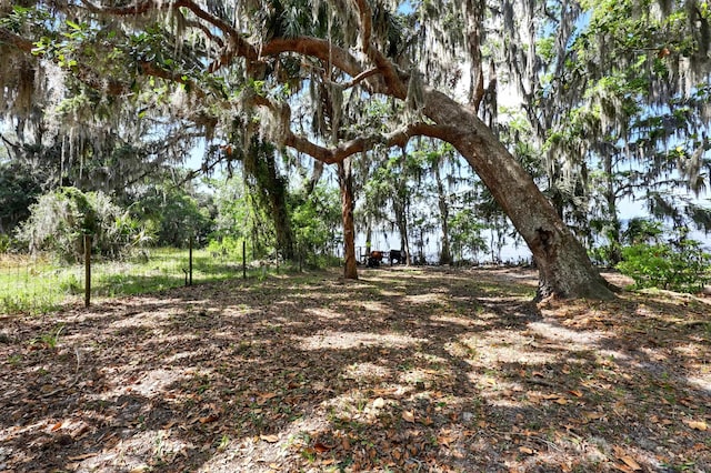 133 Federal Point Rd, East Palatka, FL 32131 - view of yard