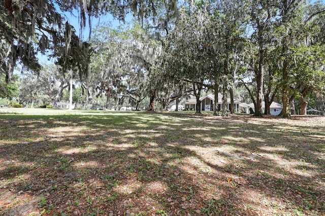 133 Federal Point Rd, East Palatka, FL 32131 - view of yard