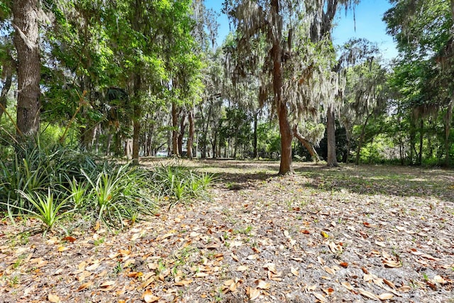 133 Federal Point Rd, East Palatka, FL 32131 - view of nature