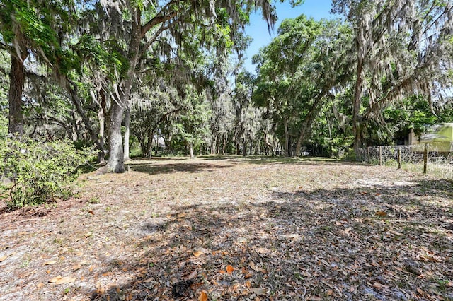 133 Federal Point Rd, East Palatka, FL 32131 - view of nature