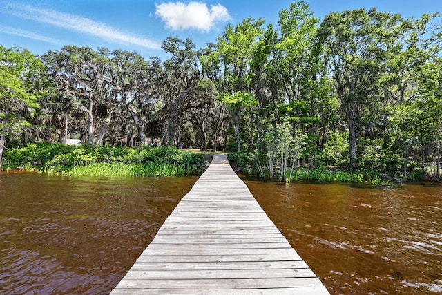 133 Federal Point Rd, East Palatka, FL 32131 - dock area with a water view