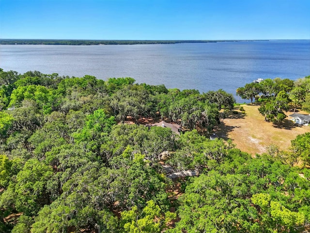 133 Federal Point Rd, East Palatka, FL 32131 - view of water feature