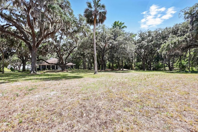 133 Federal Point Rd, East Palatka, FL 32131 - view of yard