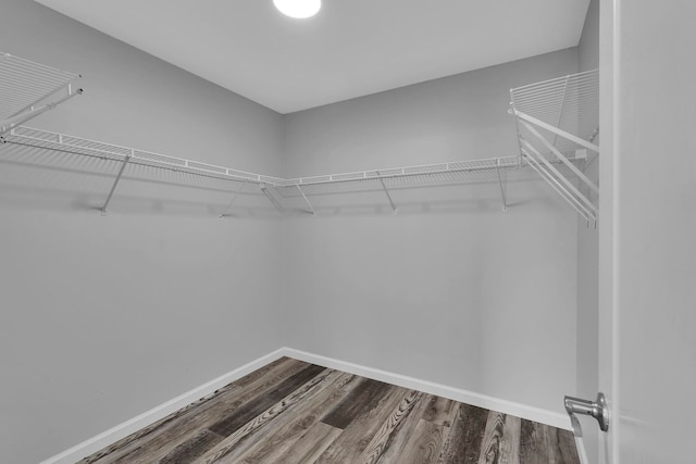 61 Brownstone Ln, Palm Coast, FL 32137 - spacious closet featuring dark wood-style flooring