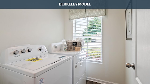 clothes washing area featuring dark hardwood / wood-style flooring and washer and clothes dryer