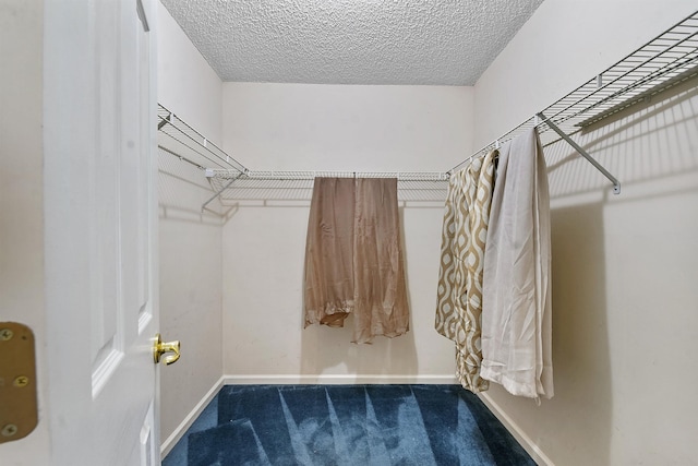 726 Calico Jack Way, Green Cove Springs, FL 32043 - walk in closet featuring carpet flooring