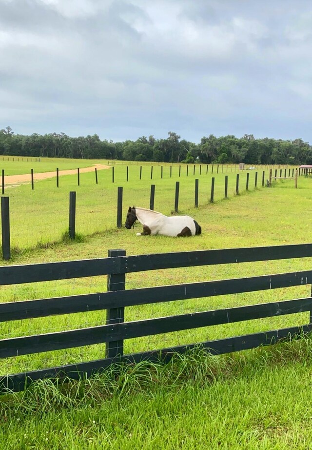 14465 Andalusia Trl, Bunnell, FL 32110 - view of gate featuring fence, a rural view, and a lawn