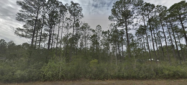 10335 Baylor Ave, Hastings FL, 32145 land for sale