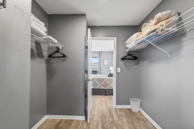 spacious closet featuring hardwood / wood-style floors