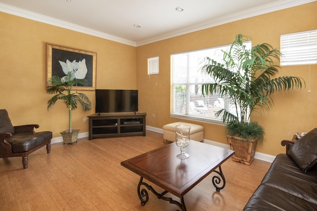 living room with light hardwood / wood-style flooring and ornamental molding