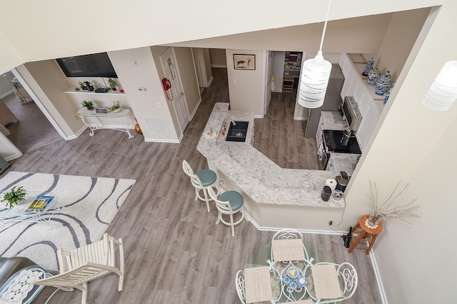 living room with light hardwood / wood-style floors