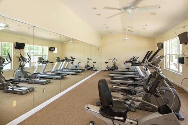 exercise room with vaulted ceiling, a wealth of natural light, and ceiling fan