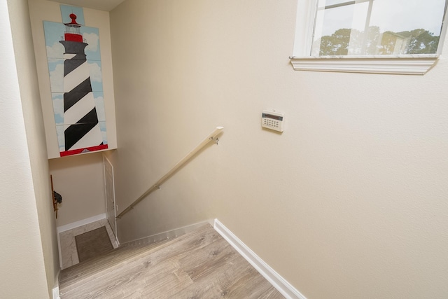 stairway with wood-type flooring