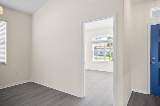 foyer entrance with hardwood / wood-style flooring