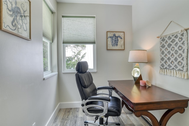 home office featuring wood-type flooring