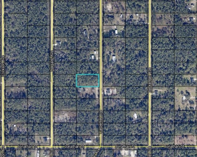 10685 Carpenter Ave, Saint Augustine FL, 32145 land for sale