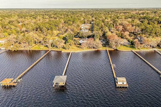 1351 Weaver Glen Rd, Jacksonville, FL 32223 - drone / aerial view of a heavily wooded area and a large body of water