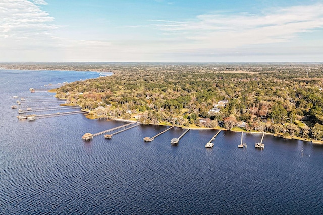 1351 Weaver Glen Rd, Jacksonville, FL 32223 - bird's eye view of a large body of water and a forest