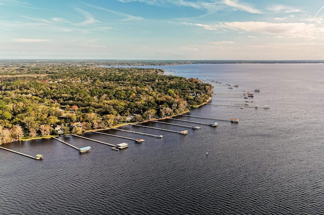 1351 Weaver Glen Rd, Jacksonville, FL 32223 - drone / aerial view of a nearby body of water