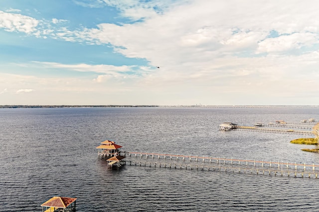 1351 Weaver Glen Rd, Jacksonville, FL 32223 - water view