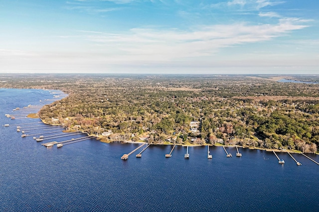 1351 Weaver Glen Rd, Jacksonville, FL 32223 - bird's eye view of a nearby body of water