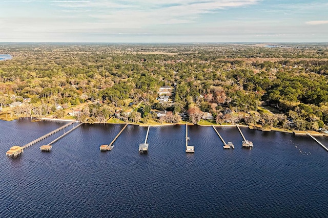 1351 Weaver Glen Rd, Jacksonville, FL 32223 - aerial view of a large body of water