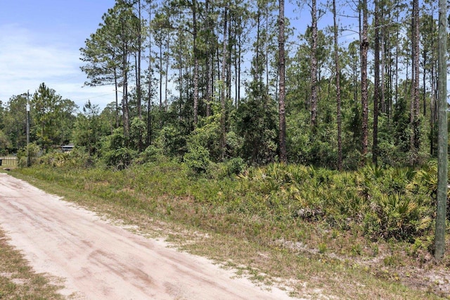 9250 Gladys St, Hastings, FL 32145
