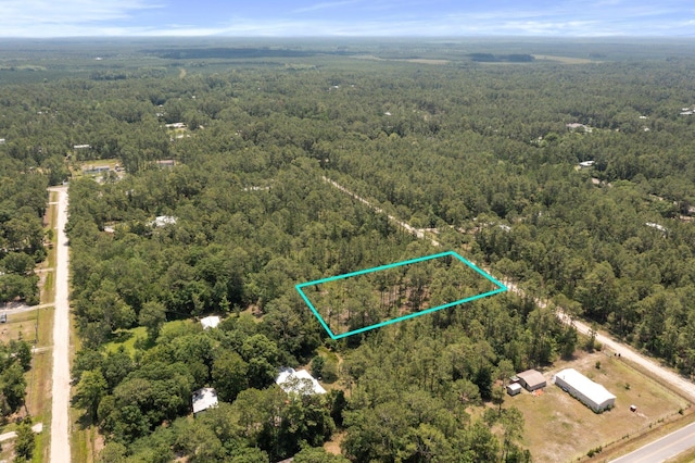 9250 Gladys St, Hastings, FL 32145