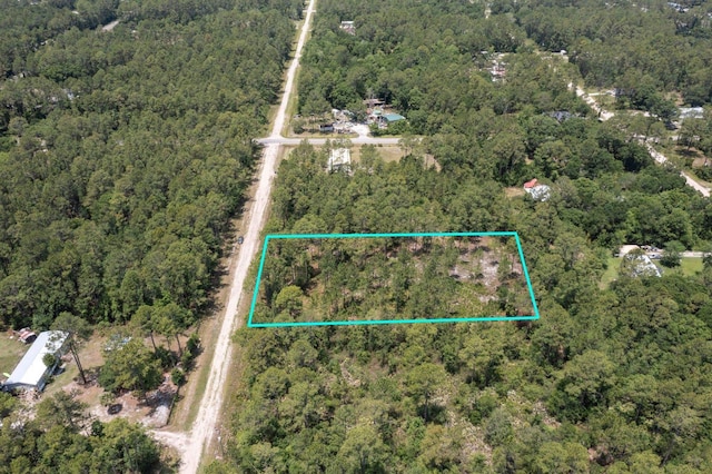 9250 Gladys St, Hastings, FL 32145