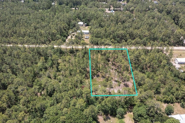 9250 Gladys St, Hastings, FL 32145