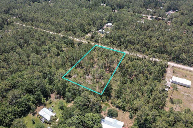 9250 Gladys St, Hastings, FL 32145