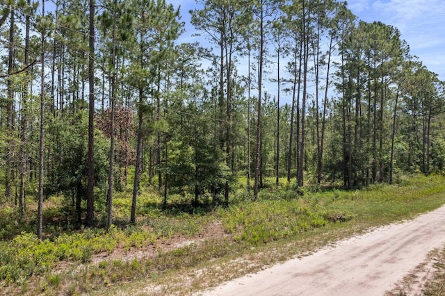 9250 Gladys St, Hastings, FL 32145