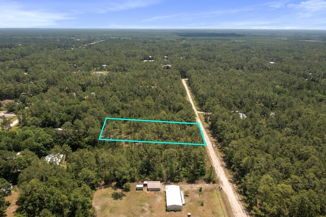9250 Gladys St, Hastings, FL 32145