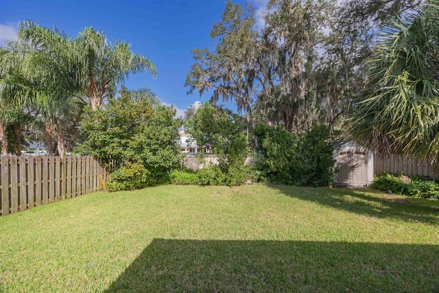 view of yard with a shed