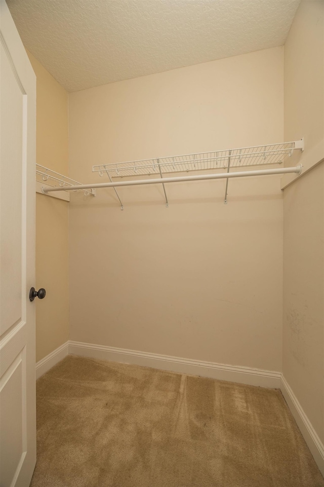 walk in closet with carpet