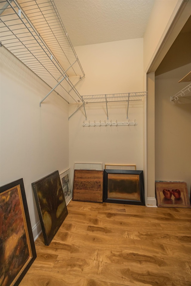 walk in closet featuring hardwood / wood-style flooring