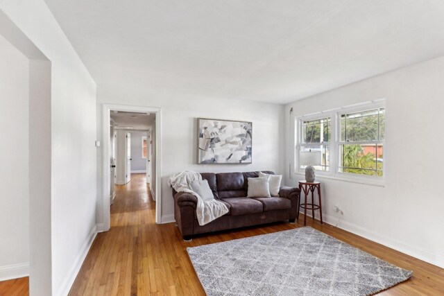 living room featuring hardwood / wood-style floors