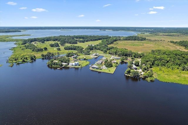 3943 NW 219th St, Rdd, Micanopy, FL 32667 - aerial view of a large body of water