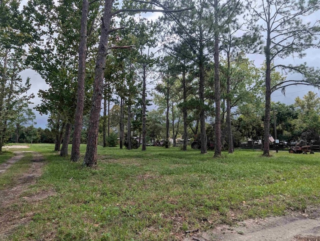 0 Usina Road Ext, Saint Augustine, FL 32084 - photo 4