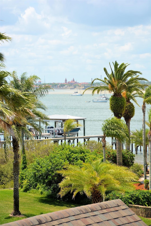 water view featuring a dock